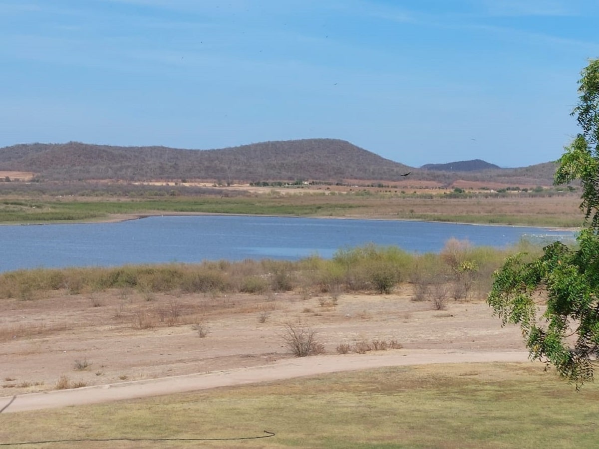 oxigeno, rescate especies, Salvador Alvarado