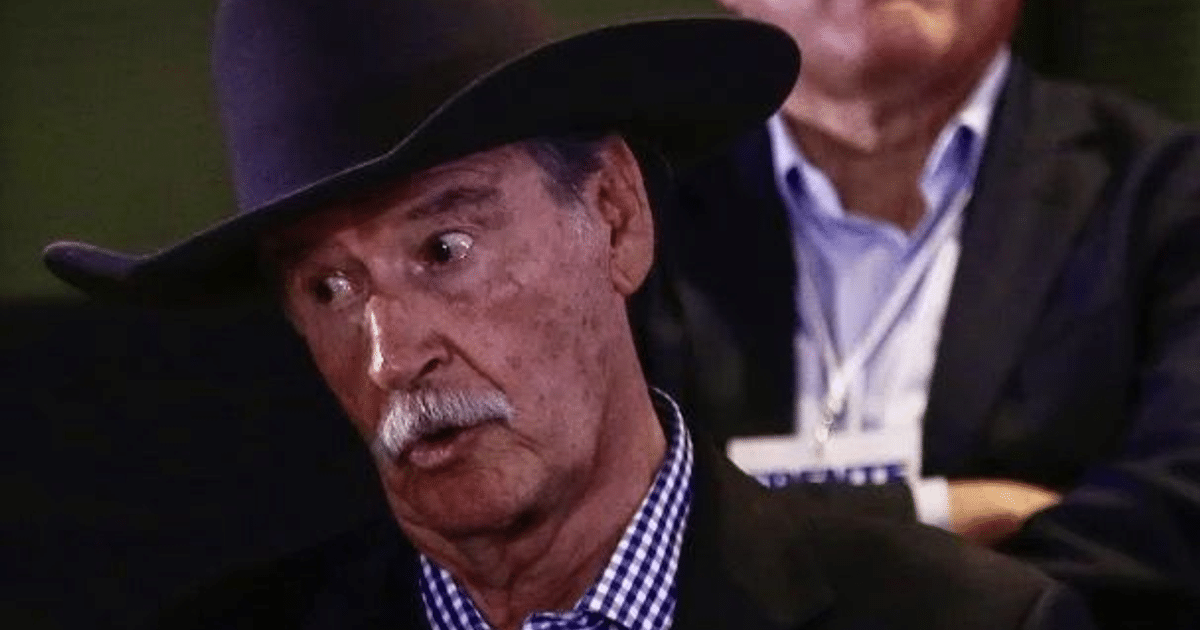 Claudia Sheinbaum, Política, Vicente Fox