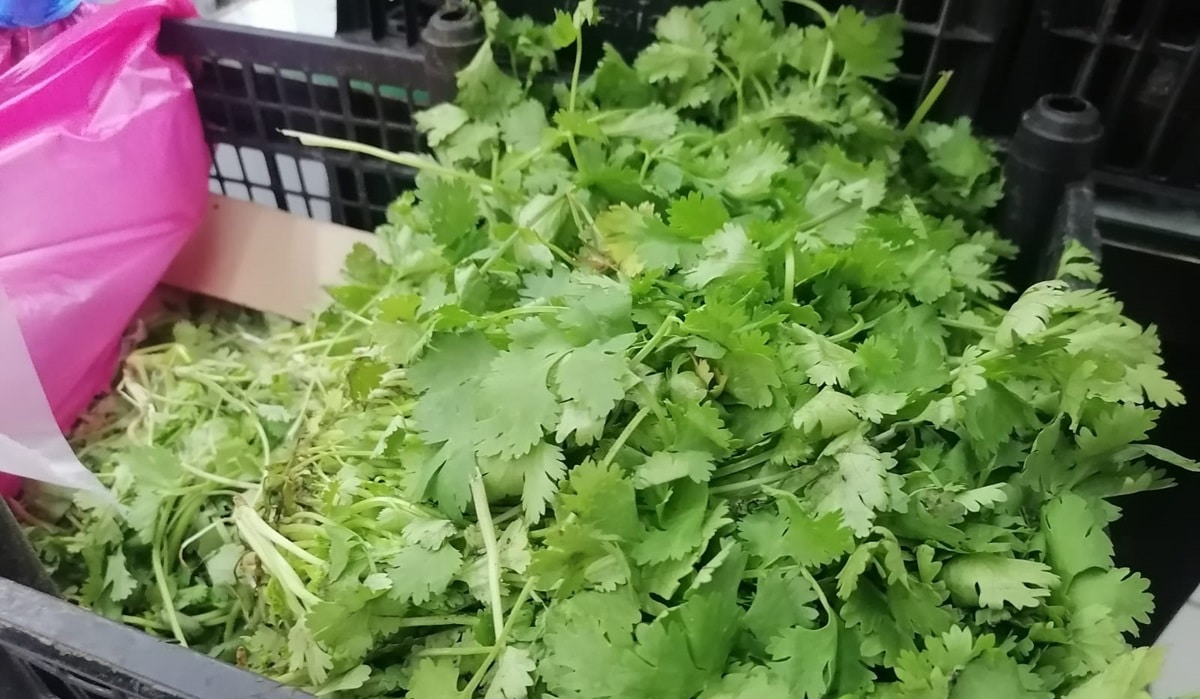 alimentos, Mazatlán, precios altos