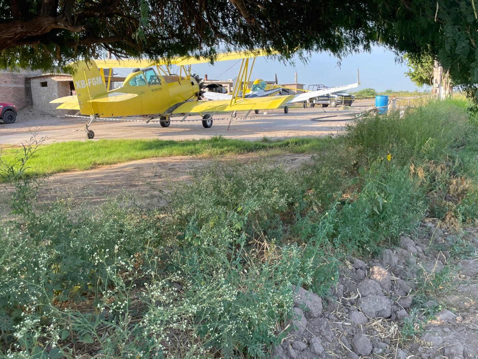 ahome, avioneta, fallecido, Hombre