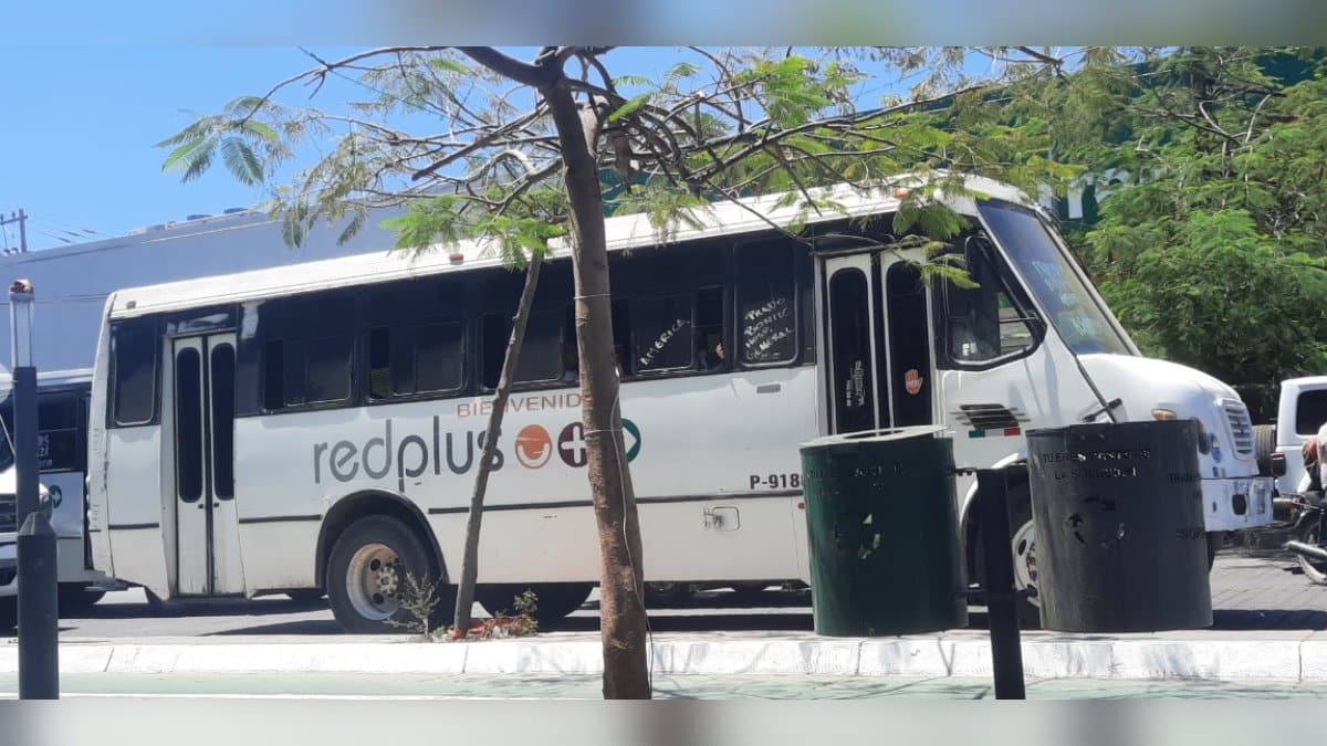 aire acondicionado, camiones urbanos, Los Mochis