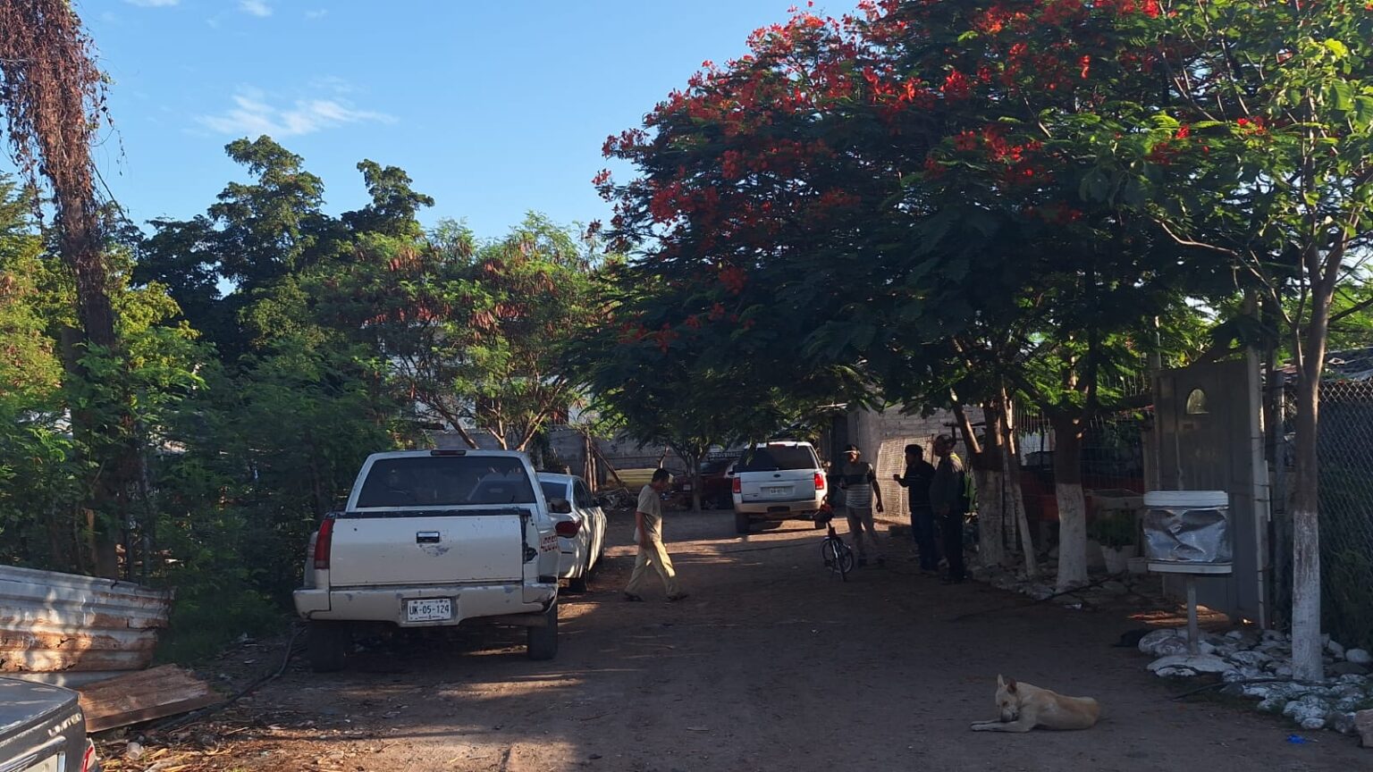 Culiacán, Hombre, Homicidio