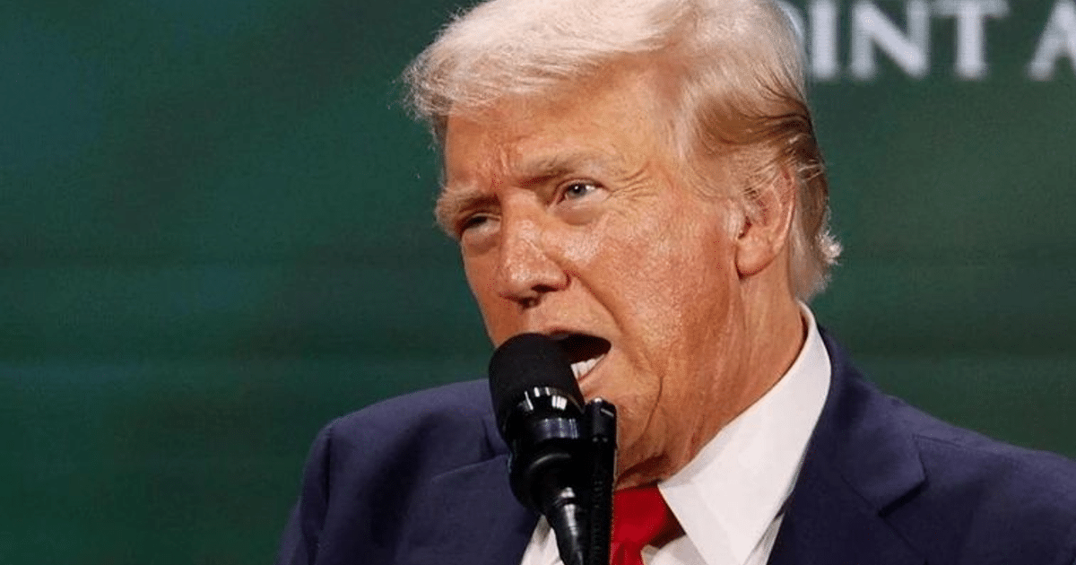 campaña de donald trump, cristianismo, defensa de la democracia, Elecciones, participacion ciudadana