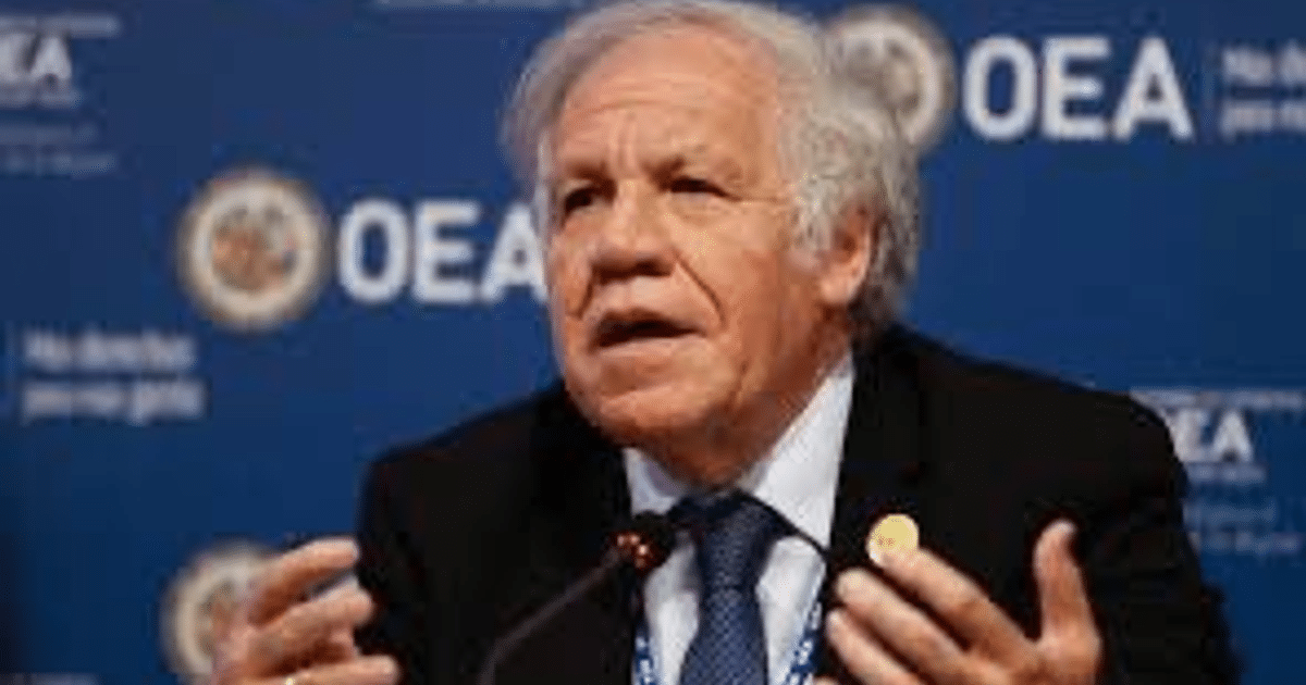 democracia., Elecciones, elecciones en Venezuela, OEA, Oposición