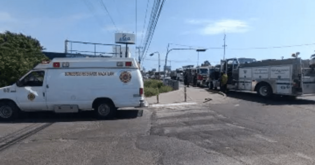 . incendios forestales, bomberos, Casa seguridad, emergencia, Rescate