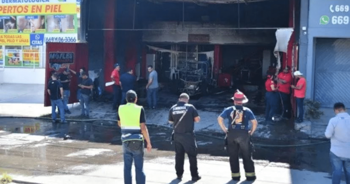 . incendios forestales, Agente investigación, Casa seguridad, emergencia, taller de mofles