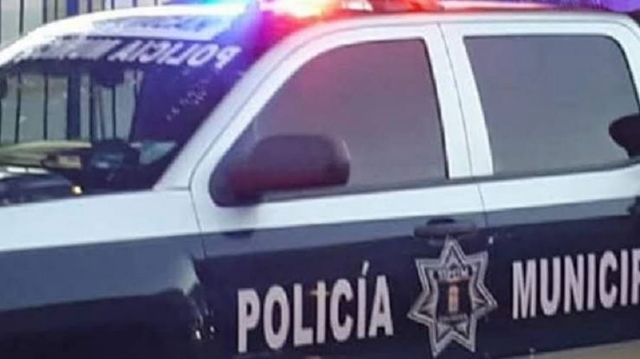 Culiacán, Inseguridad, Robó