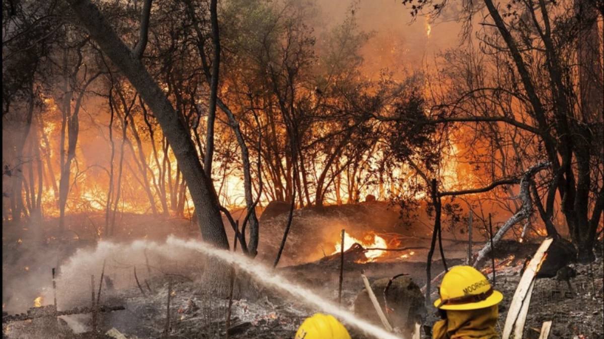 . incendios forestales, California, EEUU