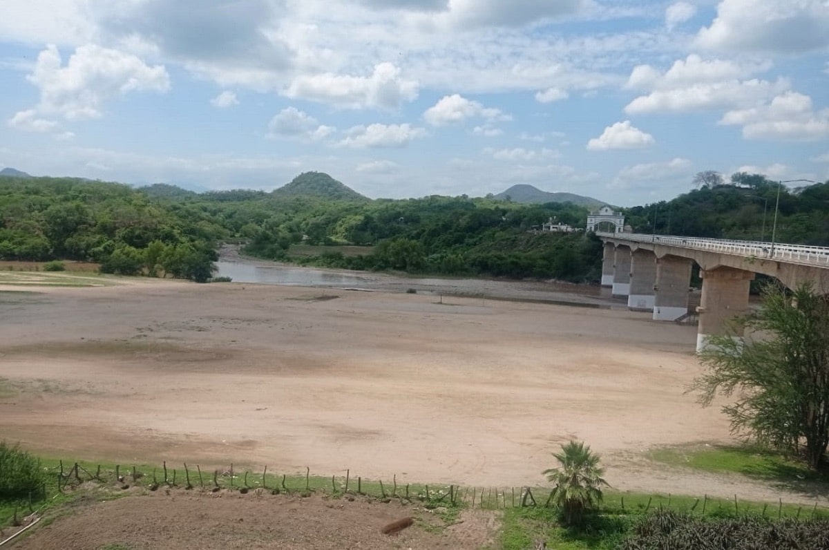 ahome, ciclo agrícola, Lluvias