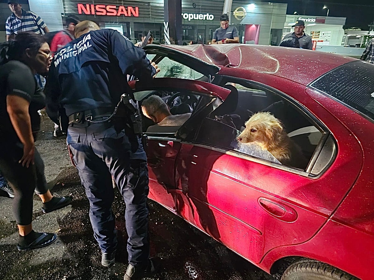 accidente, adulto mayor, Culiacán