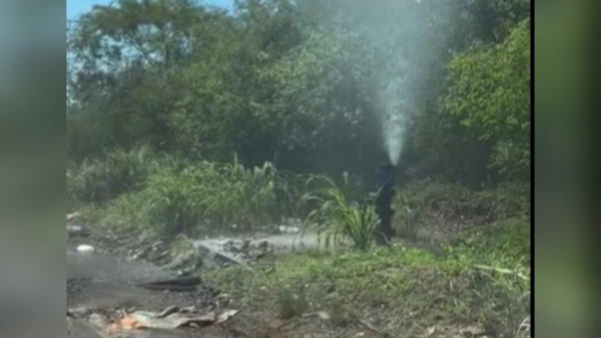 jumapam, Mazatlán, vandalismo