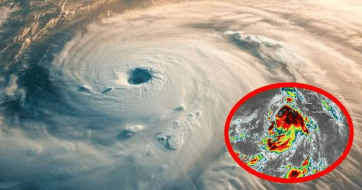 . huracán Enrique, Carlotta, Casa seguridad, Guardianes de la prevención, Tormenta tropical