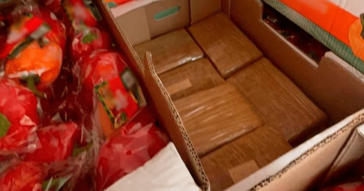 Fentanilo, Museo narcotráfico, Operativo policial, Salud pública., Secretaria de Seguridad Pública