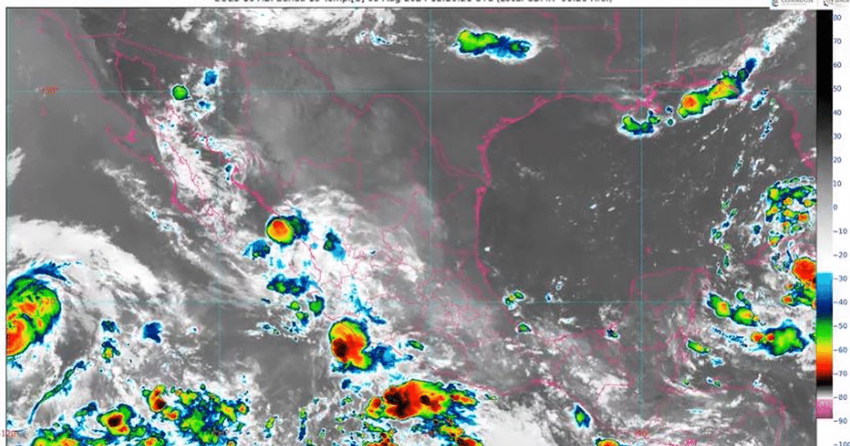 #Agricultura #Trigo #Clima, Altas Temperaturas, Casa seguridad, Estimulación de lluvias, Huracán Carlotta