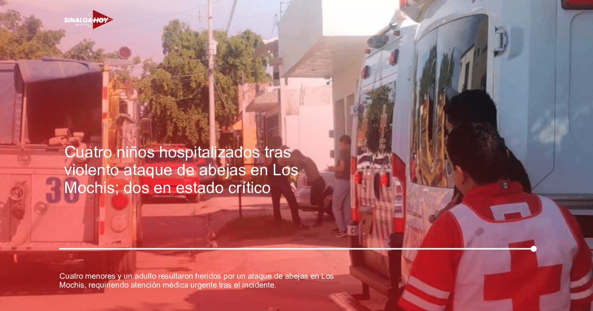 abejas, accidente, Actividades para Niños, Alerta salud, emergencia