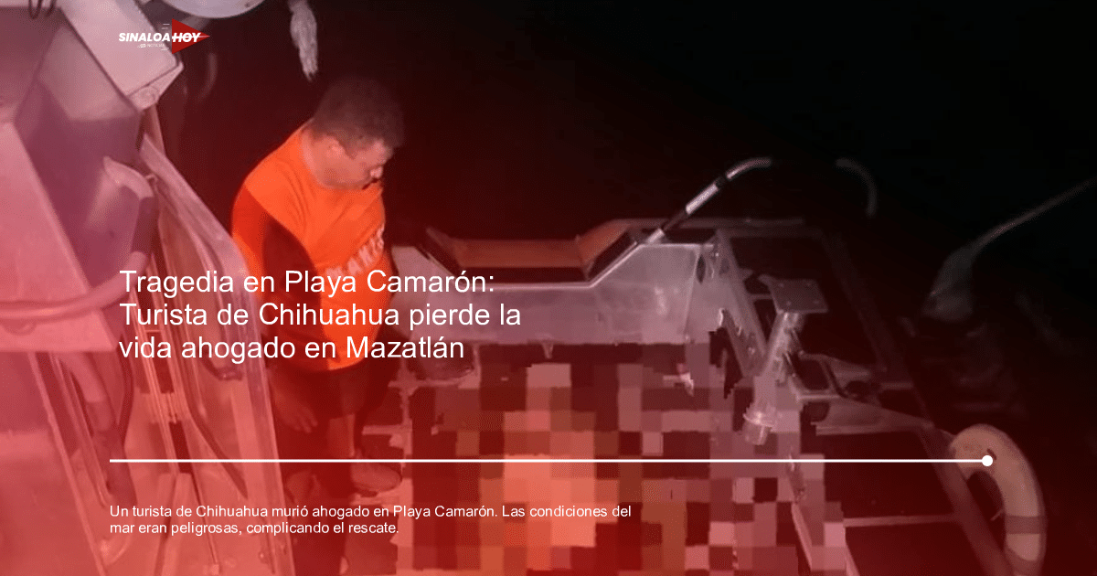 . playas, ahogamiento, Casa seguridad, incidente, Rescate