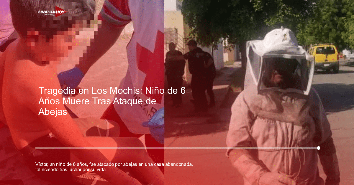 abejas, accidente, caso Victoria, comunidad, seguridad infantil