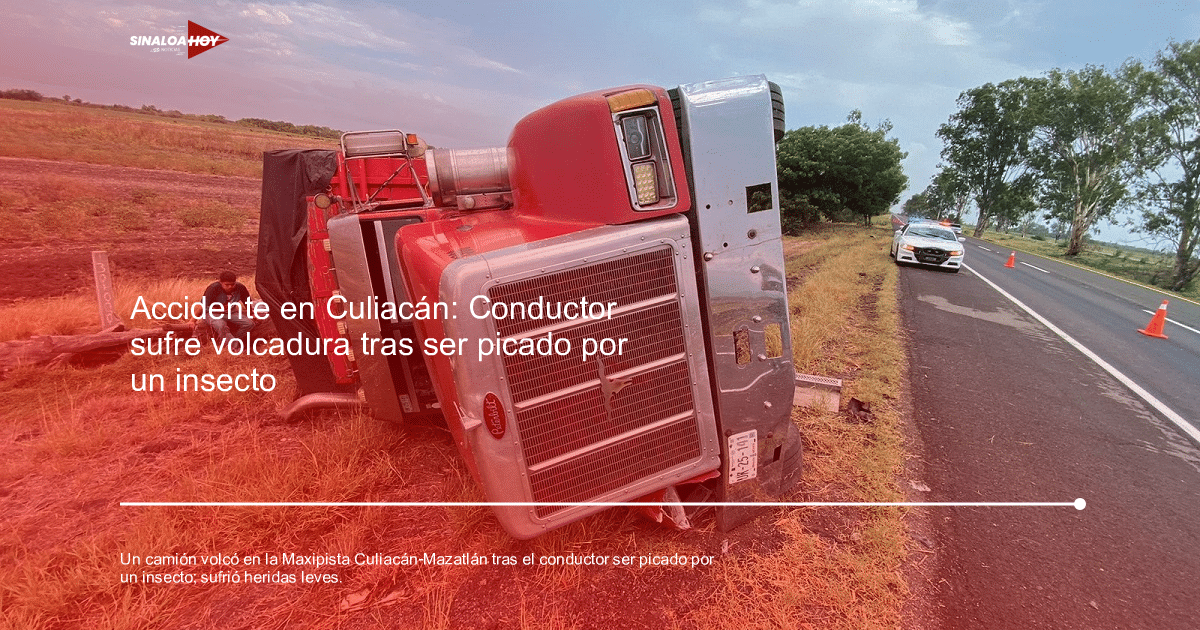 . Guardia Nacional, Accidente de tráfico, camión de carga, Insectos, Seguridad Vial