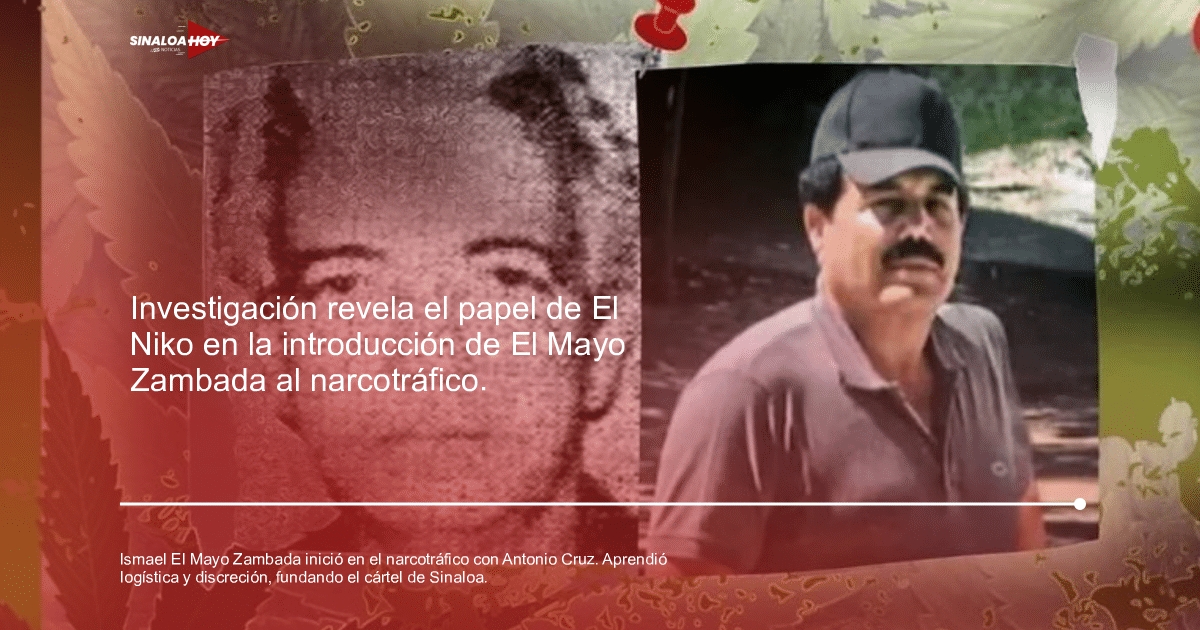 Antonio Cruz Vázquez, Cártel de Sinaloa, Historia del crimen organizado, Ismael "El Mayo" Zambada, Museo narcotráfico