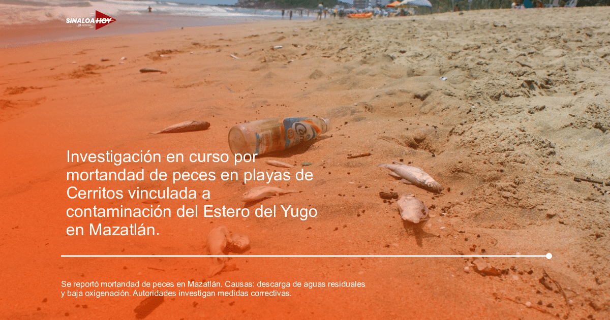 . Mazatlán, Contaminación ambiental, ecosistemas marinos., gestión de residuos, mortandad de peces