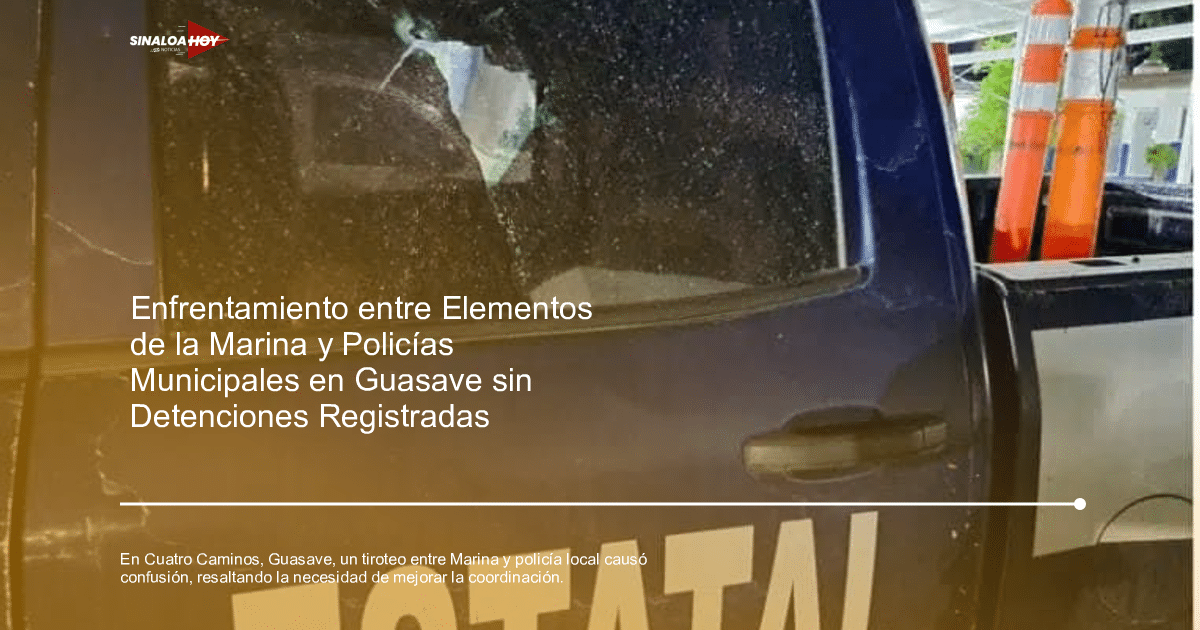 confusion, coordinación, fuerzas de seguridad, protocolo., Tiroteo