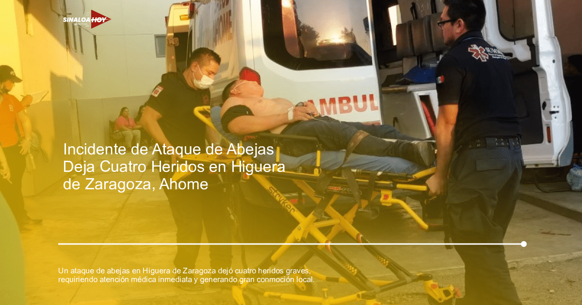 ataque de abejas, emergencia médica, Higuera de Zaragoza, Incidente de abejas, reacciones alérgicas.
