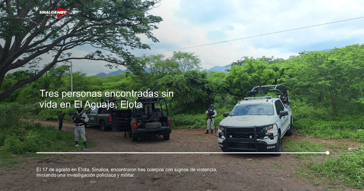 . Sinaloa, Agente investigación, amenaza de violencia, Crímen, Secretaria de Seguridad Pública