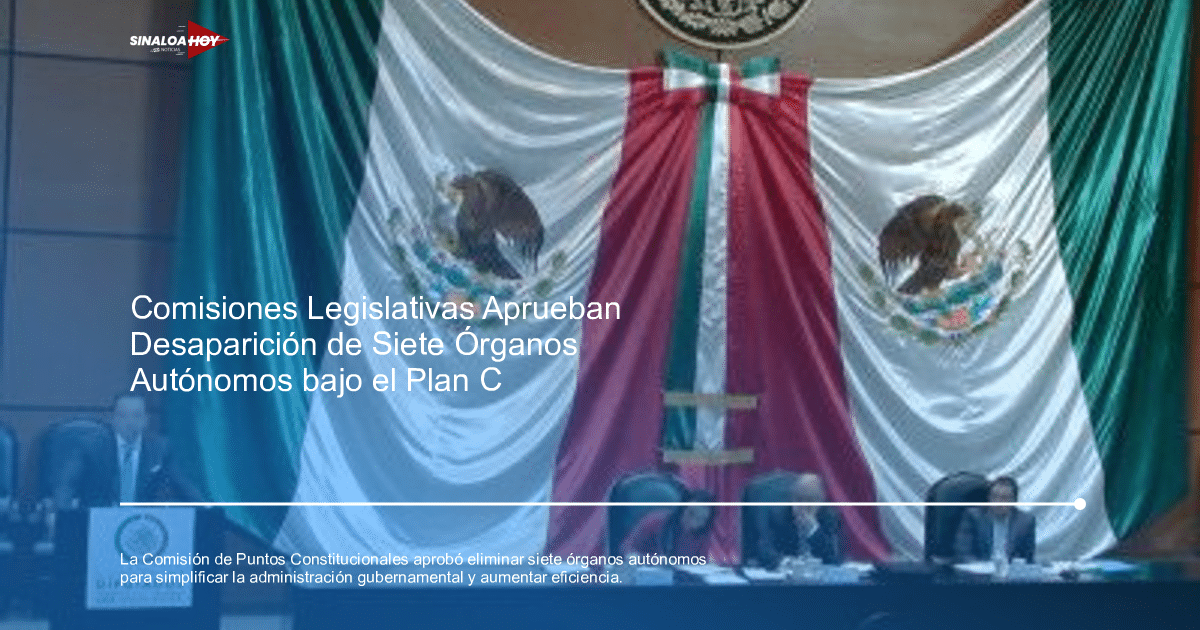 Desaparición de órganos autónomos, Gobierno de México, Órganos reguladores, Reforma constitucional, Simplificación administrativa