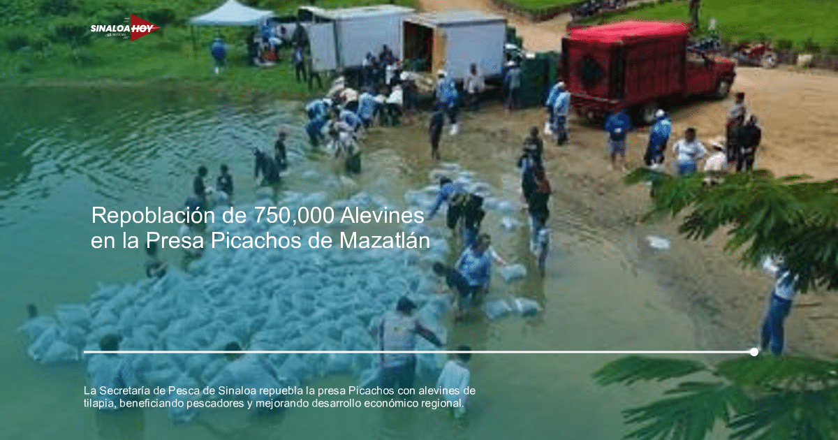 economía local., inversión gubernamental, Las etiquetas apropiadas para describir la nota podrían ser: sostenibilidad, pescadores locales, Repoblamiento de presas