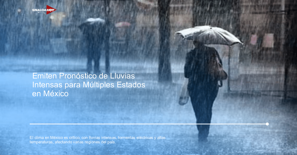 #Agricultura #Trigo #Clima, Altas Temperaturas, lluvias intensas, onda tropical, Tormentas eléctricas