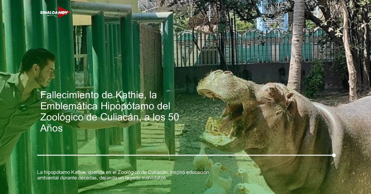 Conexión con la naturaleza, Educación ambiental, Hipopótamo, legado, zoologico
