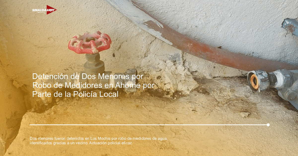 Beisshop robo, Delincuencia juvenil, justicia para menores, participación ciudadana., Secretaria de Seguridad Pública