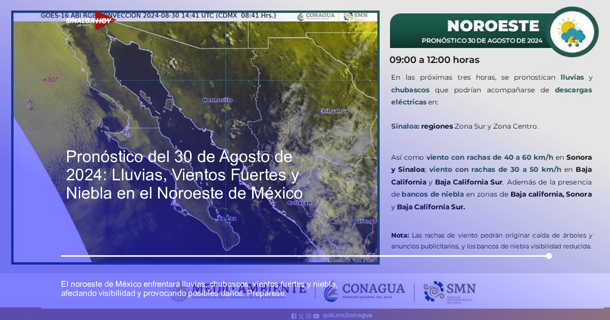 #Agricultura #Trigo #Clima, banco de niebla, Estimulación de lluvias, pronóstico del tiempo, Vientos fuertes