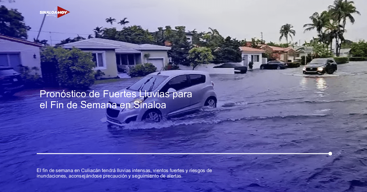 #Agricultura #Trigo #Clima, inundaciones, lluvias intensas, precauciones, Vientos fuertes