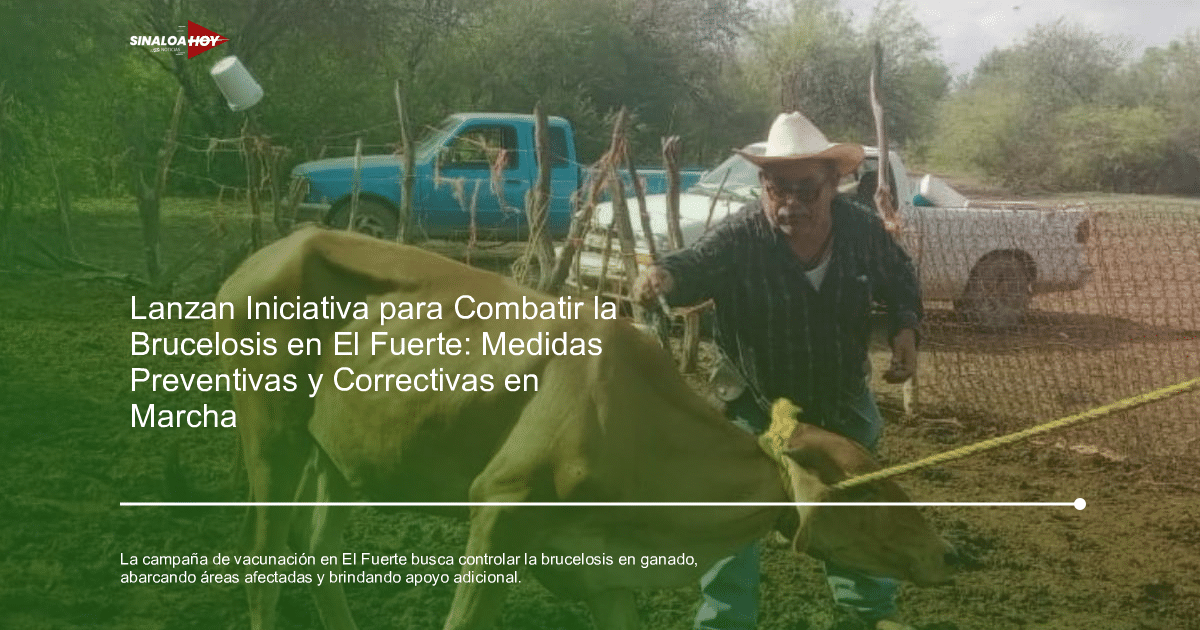 Brucelosis, campaña Vacunación, El Fuerte., ganadería, Salud Animal