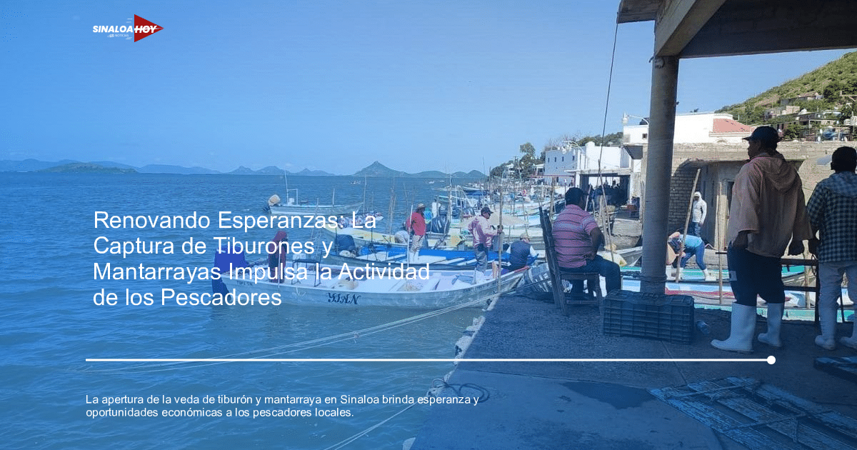 . Sinaloa, Bienepesca, El Tiburón, jaiba, mantarrayas