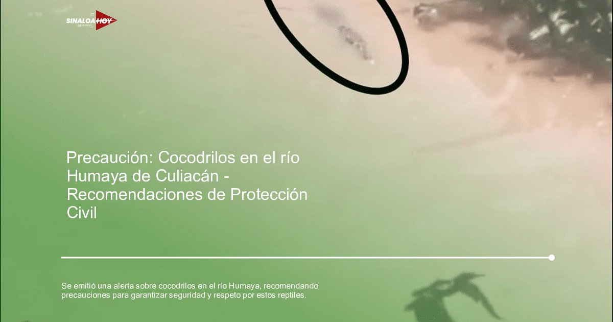 accidente Culiacán, Casa seguridad, cocodrilos, Conservación del Medio Ambiente, protección civil