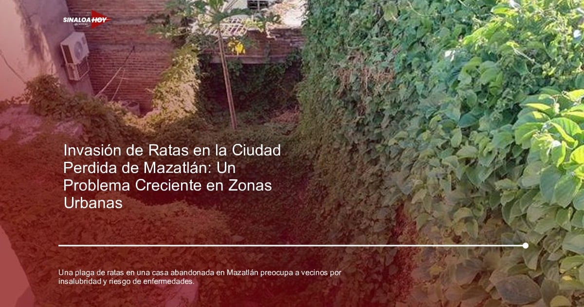 casa abandonada, comunidad afectada, Mazatlán, Plaga de ratas, problemas de salud