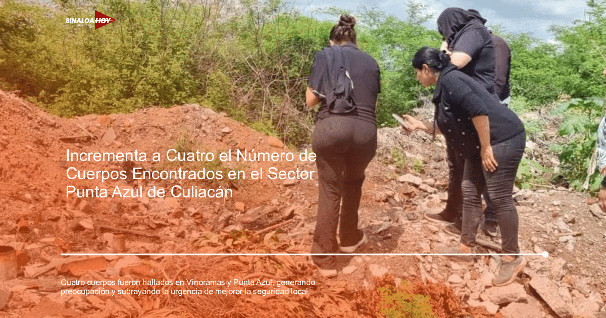 . Sinaloa, hallazgo de cuerpos, Inseguridad, Investigación criminal, Violencia.