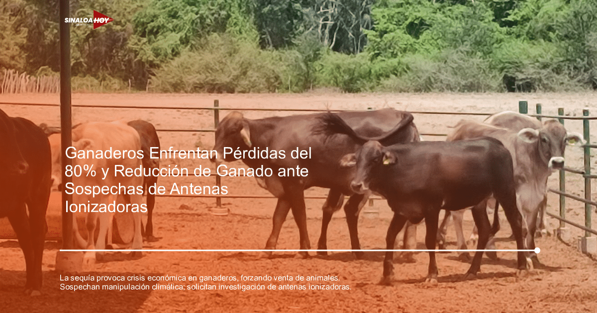 crisis económica, Investigación gubernamental, Manipulación del clima, Sector ganadero, sequía