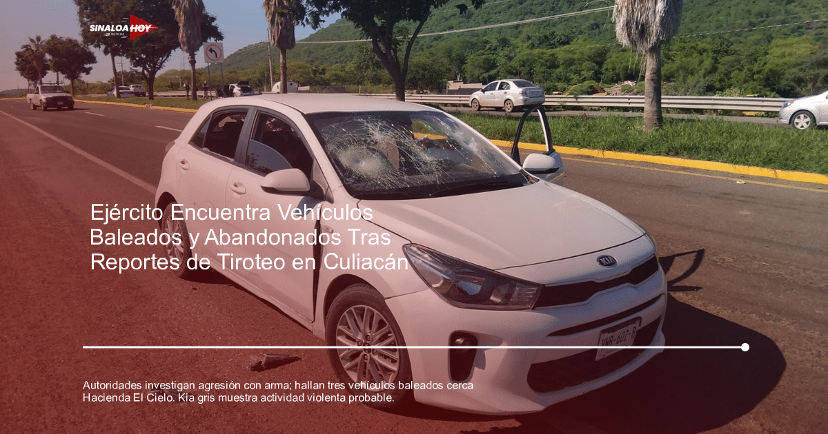 Agente investigación, alerta de seguridad, amenaza de violencia, Armas de Fuego, crimen organizado