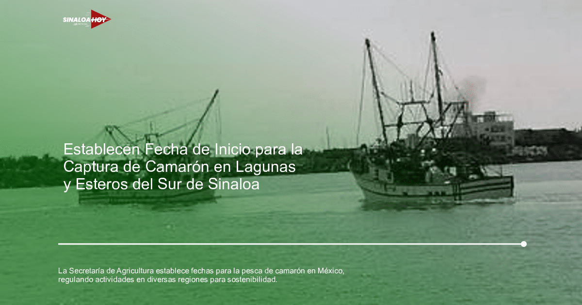 #copapormexico, avenidacamaronsabalo, Bienepesca, Las etiquetas apropiadas para describir la nota podrían ser: sostenibilidad, regulación digital