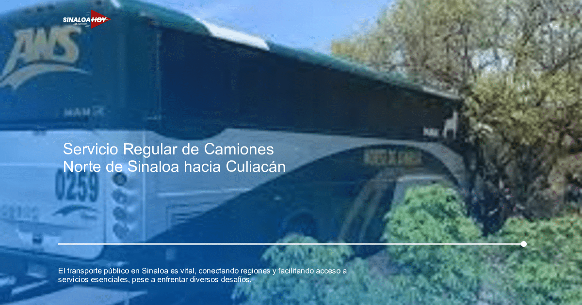 economía local, infraestructura, Sinaloa, sostenibilidad, transporte público