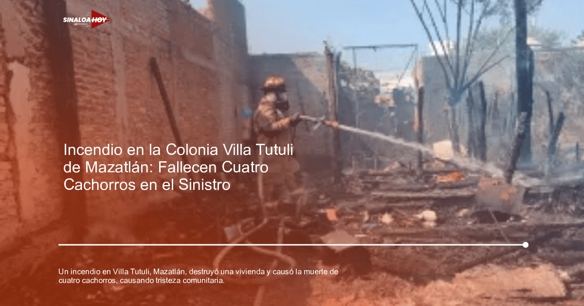 . incendios forestales, . Mazatlán, Agente investigación, balas perdidas, tragedia