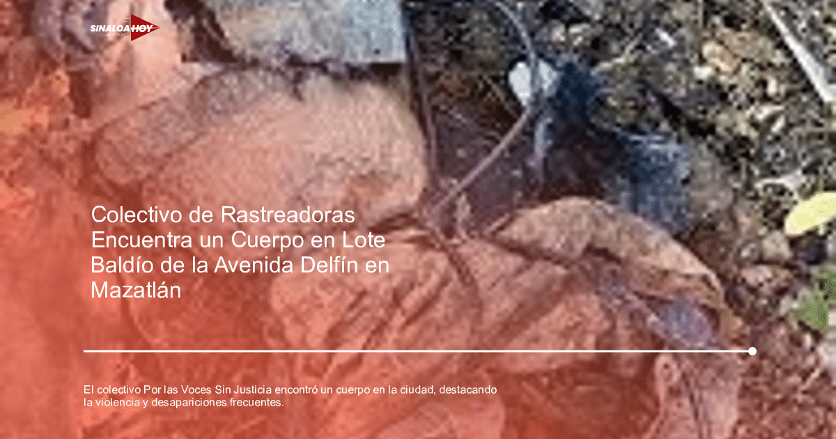 amenaza de violencia, colectivos sociales, Comisión Estatal de búsqueda de personas desaparecidas., desapariciones, hallazgo