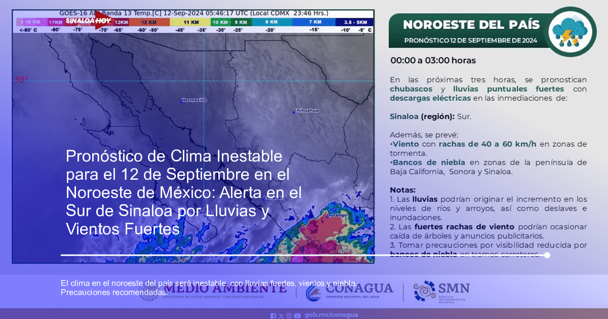 #Agricultura #Trigo #Clima, alerta meteorológica, lluvias fuertes, precauciones., vientos
