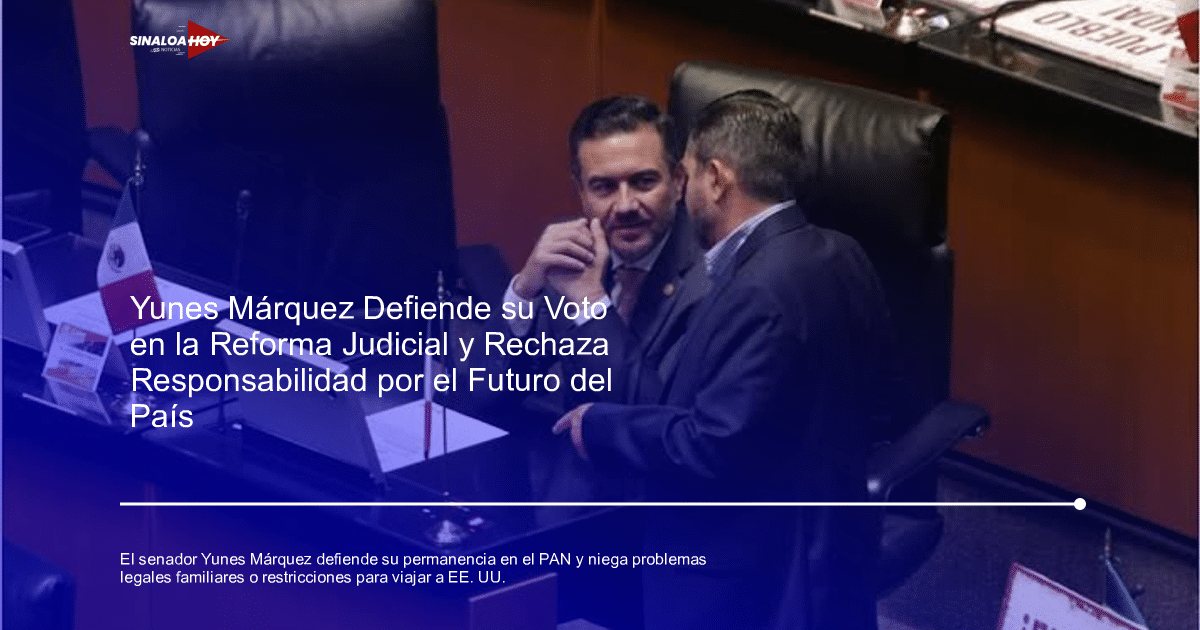 Alianza política, campaña, pleno del senado, reforma judicial, RELACIONES INTERNACIONALES