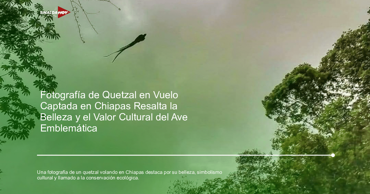 #Agricultura #Trigo #Clima, #Conservación, Conexión con la naturaleza, fauna, fotografia