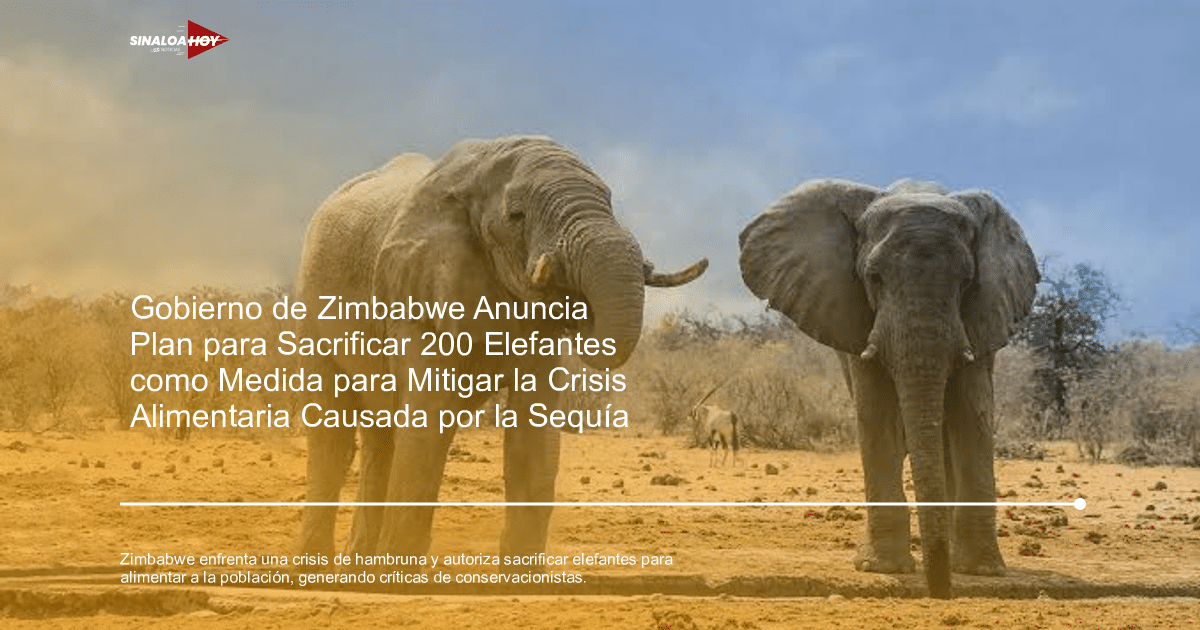 cambio climático, Conflicto humano-fauna., Conservación de la vida silvestre, Crisis alimentaria, sequía