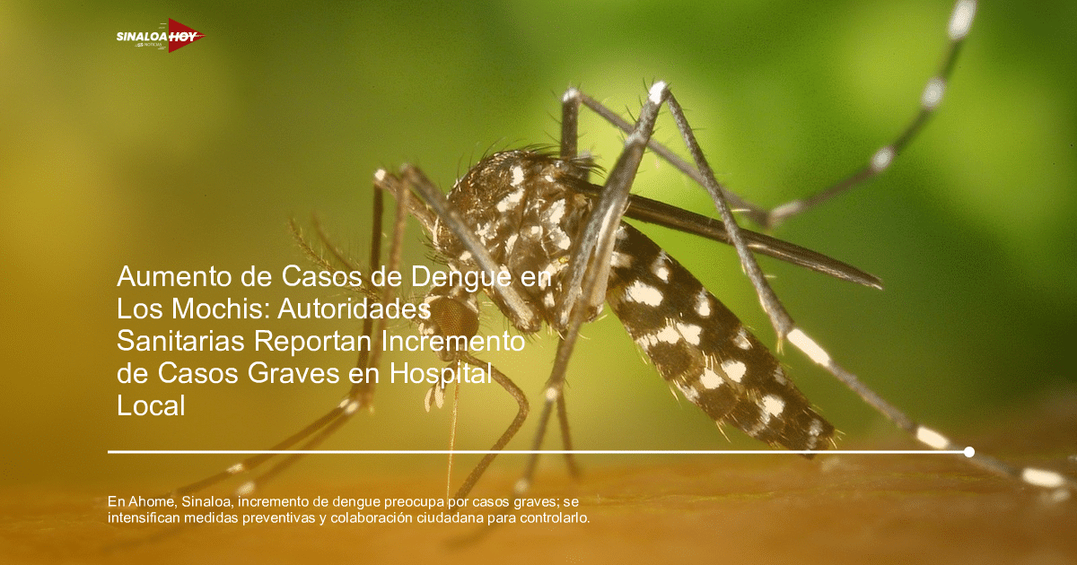 . Sinaloa, brote epidémico., casosdengue, Guardianes de la prevención, salud pública